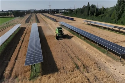 Agrivoltaics nyomkövetőkkel, a függőleges rendszerek gazdaságossági előnyt kí...